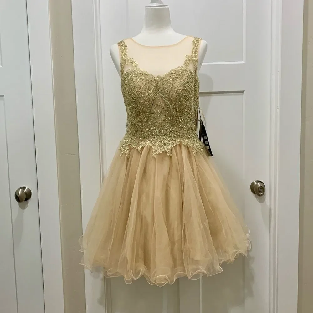Mesh embroidered beaded Lace Short Ruffled Dress